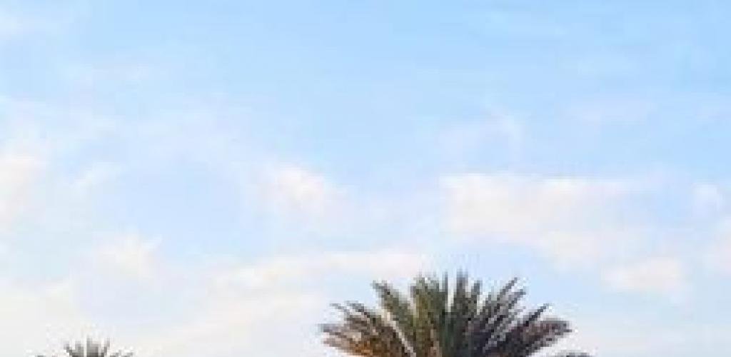 أخبار سلطنة عمان | ‏بدء العمل في مشروع مبنى المصنعة الوقفي الخيري | عيون الجزيرة الاخبارية عمان