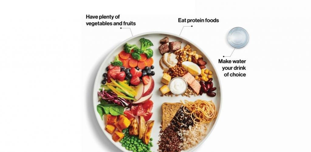 أخبار قطر | اختصاصيات تغذية لـ "الشرق": إطلاق الهرم الغذائي الجديد هل يغيّر مفاهيم التغذية؟ | عيون الجزيرة قطر