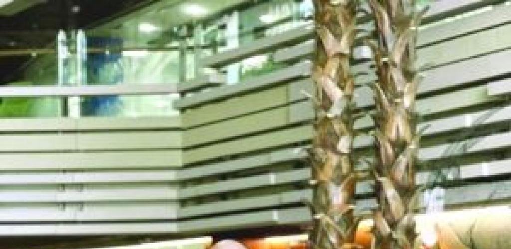 أخبار سلطنة عمان | غسل الأموال.. من معاملات بسيطة إلى جريمة يعاقب عليها القانون | عيون الجزيرة الاخبارية عمان