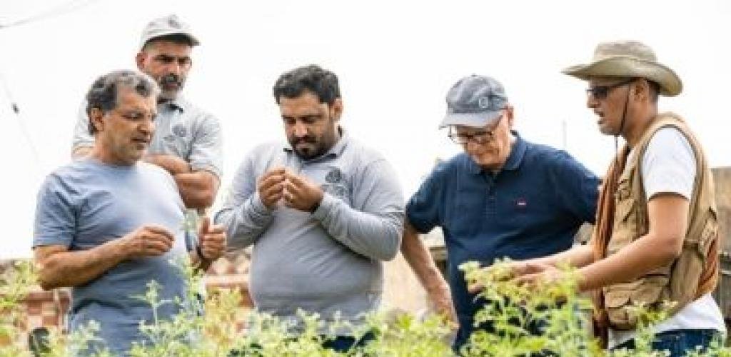 أخبار سلطنة عمان | محافظة ظفار تحصد المركز الأول في جائزة بيئية عربية | عيون الجزيرة الاخبارية عمان