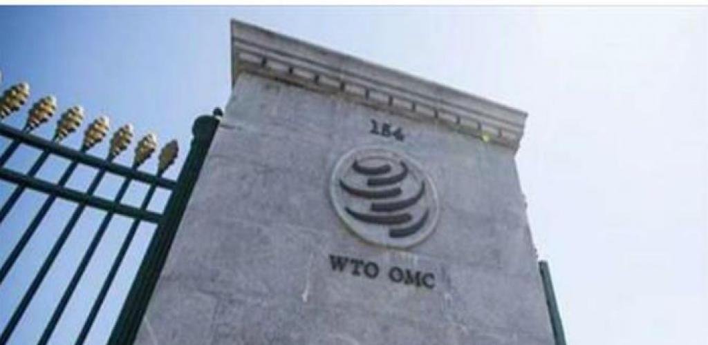 أخبار قطر | منظمة التجارة العالمية تؤكد أن الحرب في الشرق الأوسط تهدّد الأمن الغذائي العالمي | عيون الجزيرة قطر