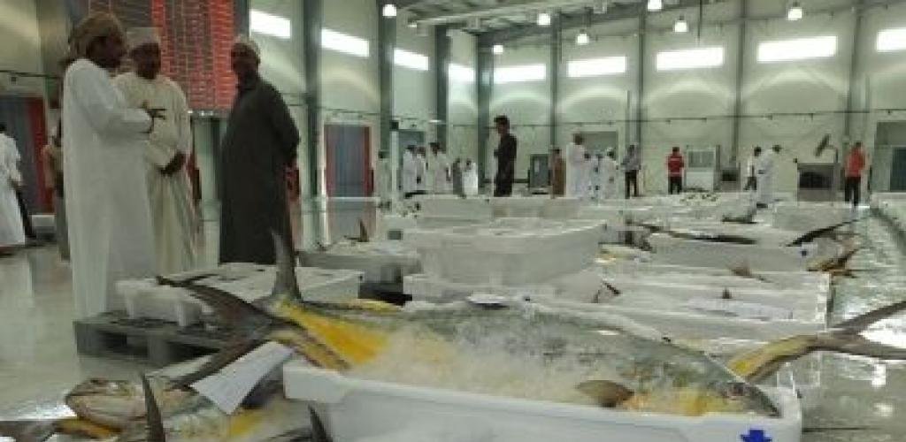 أخبار سلطنة عمان | إجماليُّ قيمة الأسماك المنزّلة في سلطنة عُمان يتجاوز 576 مليون ريال عُماني | عيون الجزيرة الاخبارية عمان