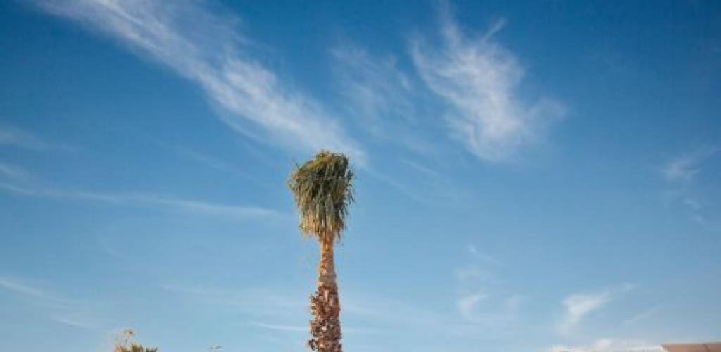 الامارات الان | بلدية دبي: أعمال تطوير كورنيش الممزر تسير بوتيرة متسارعة وفق الجداول الزمنية | عيون الجزيرة الامارات