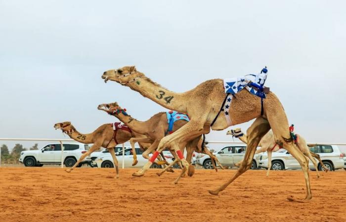 عرقان يسجل الزمن اﻷسرع