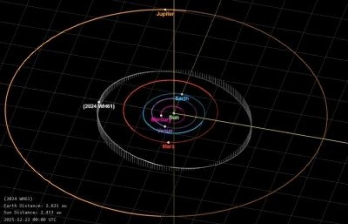 أخبار سلطنة عمان | اكتشاف كويكبين جديدين في حزام الكويكبات في النظام الشمسي | عيون الجزيرة الاخبارية عمان