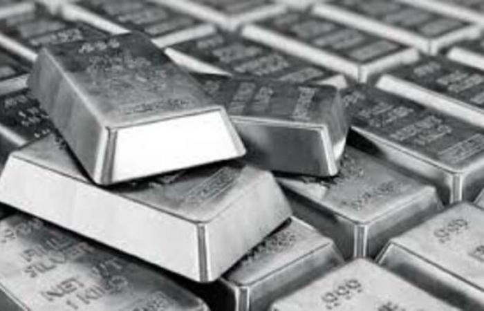 صندوق فضة صيني يعلّق التداول مع ارتفاع علاوة السعر