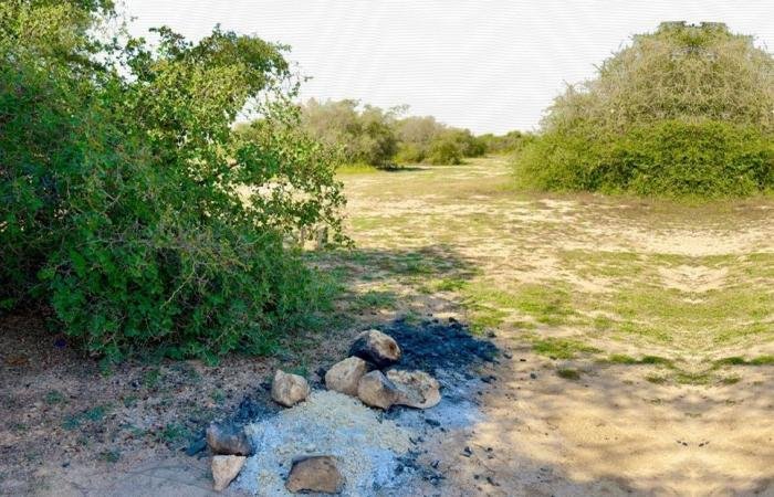 أخبار قطر | 142 مخالفة إشغال النار على الأرض داخل المحميات الطبيعية خلال يناير فقط | عيون الجزيرة قطر