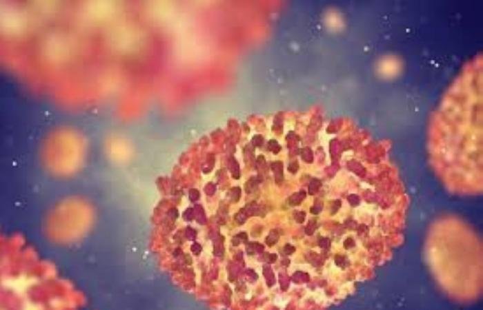 إفريقيا ترفع حالة الطوارئ الصحية بشأن «جدري القردة» | عيون الجزيرة