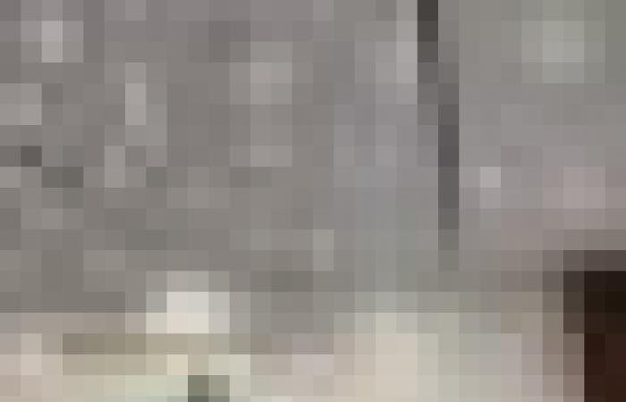 أخبار سلطنة عمان | برنامج عملي بشمال الشرقية يمكن رواد الأعمال من توظيف الذكاء الاصطناعي | عيون الجزيرة الاخبارية عمان