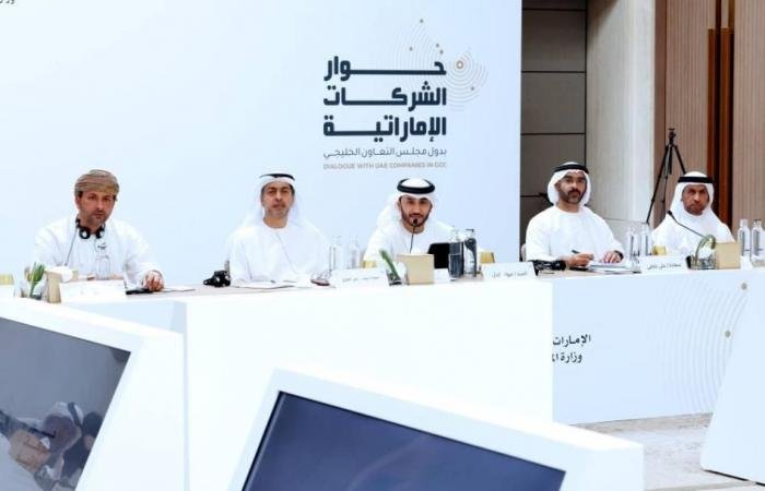 «المالية» تنظم حواراً ثانياً مع الشركات الإماراتية في الخليج