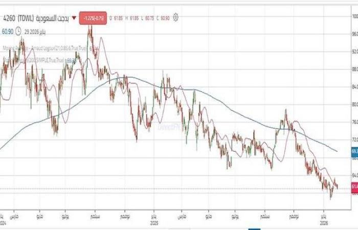 سهم "بدجت السعودية" يحافظ على مستوى دعم هام.. هل ينجح في الصعود؟