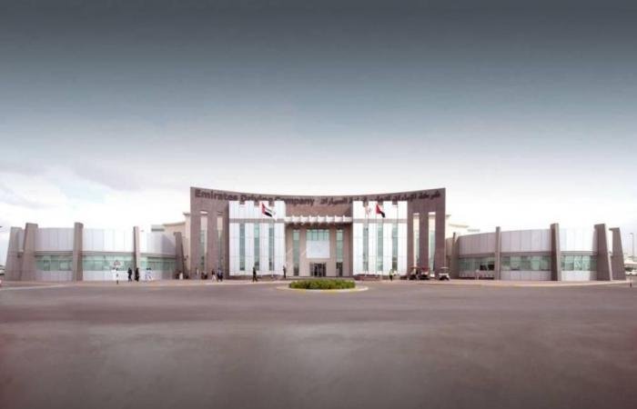 الامارات الان | 770 مليون درهم إيرادات الإمارات لتعليم القيادة في 2025 | عيون الجزيرة الامارات