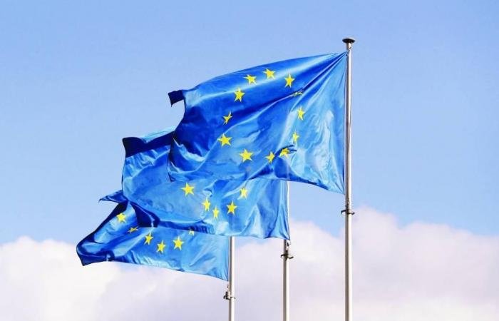 المفوضية الأوروبية: التحول الرقمي أساس مستقبل العمل الجمركي