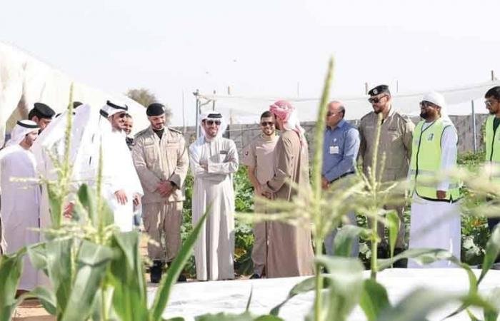 الامارات الان | لجنة إزالة التعديات تنفذ جولات تفتيشية للمزارع في الشارقة | عيون الجزيرة الامارات