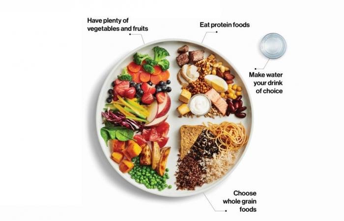 أخبار قطر | اختصاصيات تغذية لـ "الشرق": إطلاق الهرم الغذائي الجديد هل يغيّر مفاهيم التغذية؟ | عيون الجزيرة قطر
