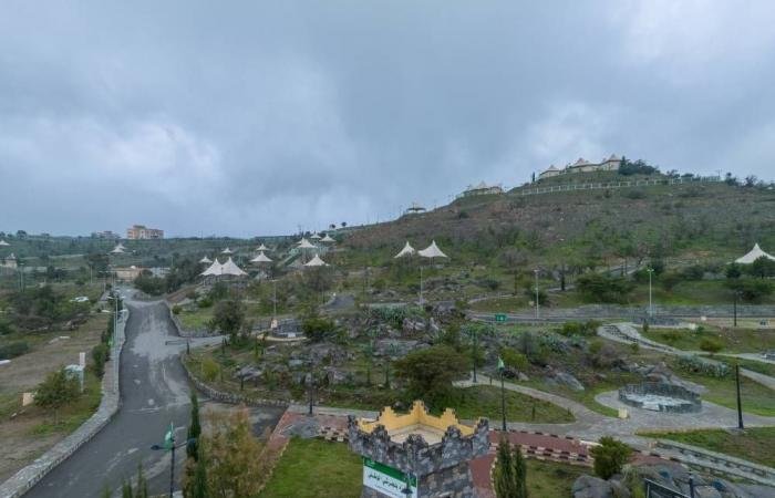 طرح 100 فرصة استثمارية لتعزيز الاستدامة البيئية في 11 منطقة