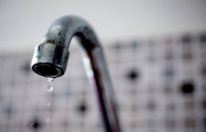 أخبار الكويت | «الكهرباء»: ضعف المياه العذبة في الوفرة السكنية غداً | عيون الجزيرة الكويت