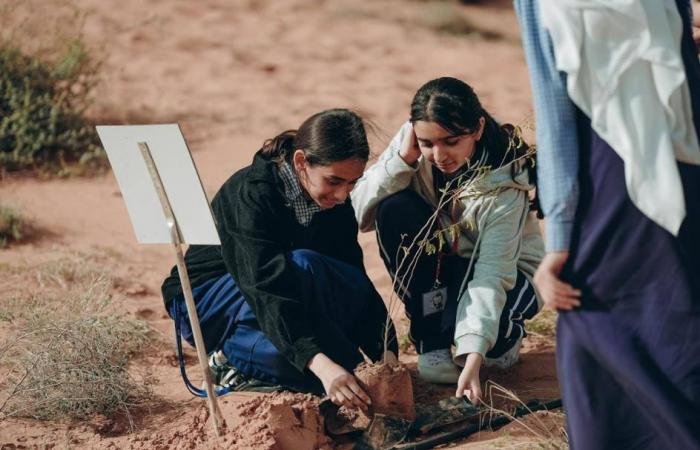 الامارات الان | «بيئة الشارقة» تنظم حملة تشجير محمية المنتثر | عيون الجزيرة الامارات