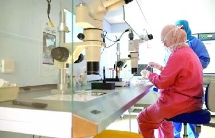 أخبار سلطنة عمان | تجميد الأجنة.. طفرة اجتماعية وصحية لمستقبل إنجابي أكثر استقرارا | عيون الجزيرة الاخبارية عمان