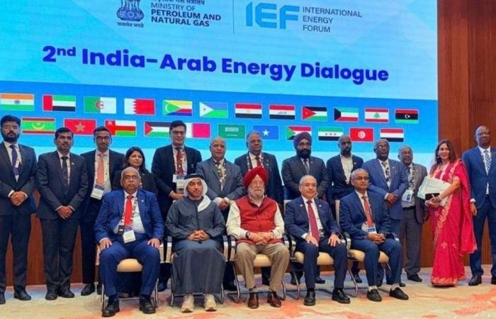 الإمارات تدعم تعاون الدول العربية والهند في قطاع الطاقة