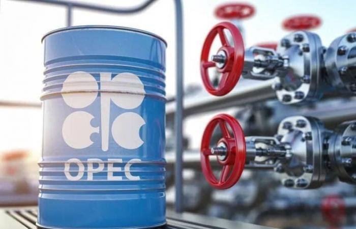 «أوبك +»: استمرار تعليق زيادة إنتاج النفط في مارس