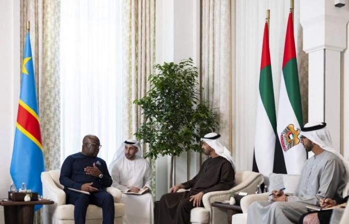 الامارات الان | محمد بن زايد: تعزيز علاقاتنا التنموية مع إفريقيا ركيزة أساسية في نهجنا الاقتصادي | عيون الجزيرة الامارات