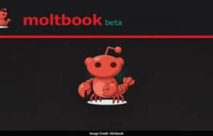 منصة «مولتبوك» لوكلاء الذكاء الاصطناعي تثير الجدل