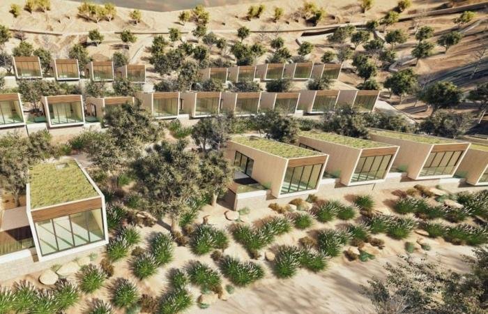 154 وحدة تُبرز الشارقة وجهة للسياحة المستدامة