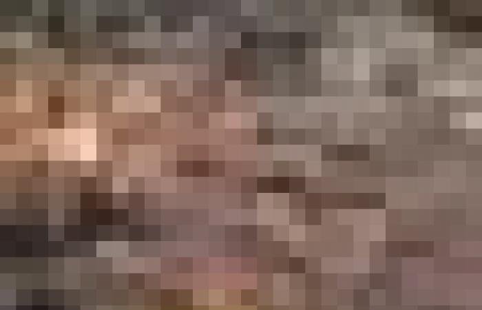 أخبار سلطنة عمان | مدينة "الثريا" و"حارة العقر" ضمن قائمة جوائز مهرجان العمران العالمي "ميبيم 2026 " | عيون الجزيرة الاخبارية عمان