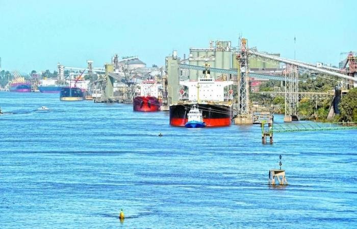 الأرجنتين تفتح أسواقها أمام منتجات أمريكا مقابل تخفيف الرسوم