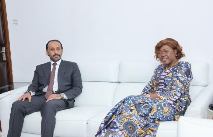 أخبار قطر | وزير الدولة وزير الشؤون الخارجية في كوت ديفوار تجتمع مع سفير دولة قطر | عيون الجزيرة قطر