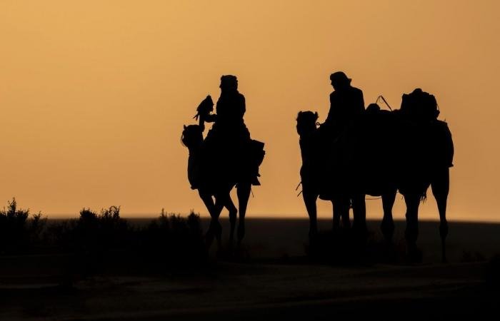 أخبار قطر | الحصين يتصدر المجموعة الرابعة بـ «القلايل» | عيون الجزيرة قطر