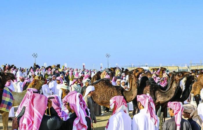الرياضة في قطر | سيطرة «المزاين» القطرية على أشواط الثنايا والجل | عيون الجزيرة الاخبارية