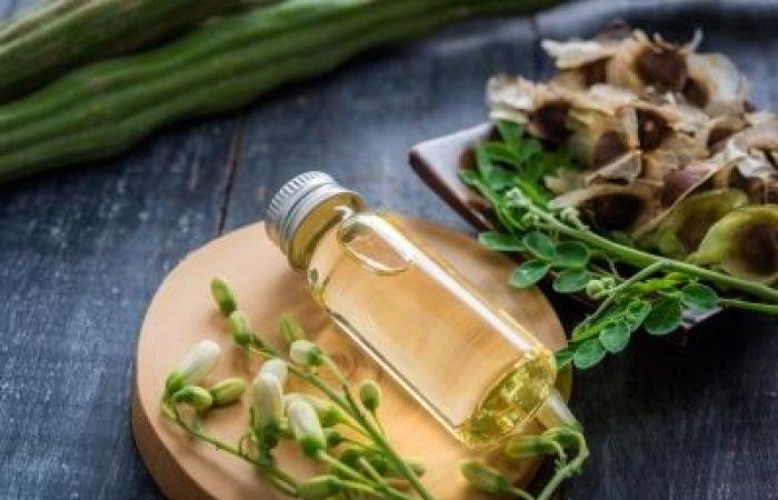 أخبار سلطنة عمان | دراسة علمية تكشف إمكانات واعدة للمورينجا في تثبيط الخلايا السرطانية | عيون الجزيرة الاخبارية عمان