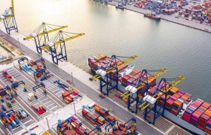 الامارات الان | الإمارات ترسخ مكانتها محوراً عالمياً لسلاسل الإمداد وتدعم الأمن الغذائي إقليمياً ودولياً | عيون الجزيرة الامارات