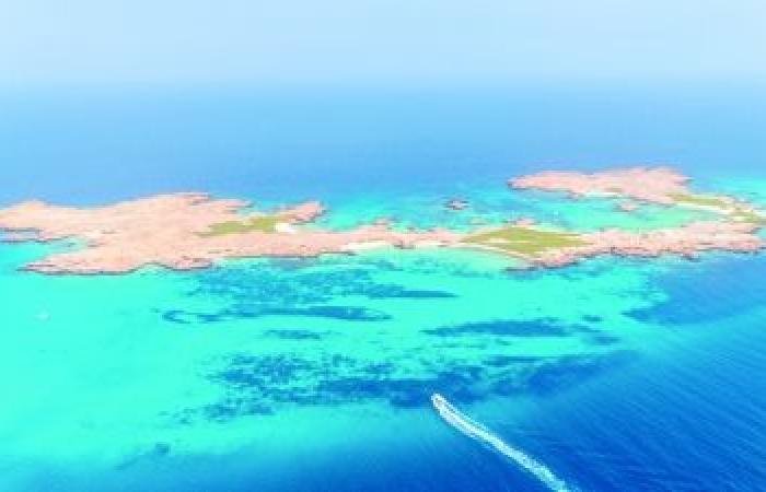 أخبار سلطنة عمان | محمية جزر الديمانيات الطبيعية.. كنز بحري يعزّز التنوع الأحيائي ويجسّد التزام سلطنة عُمان بحماية الطبيعة | عيون الجزيرة الاخبارية عمان