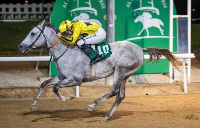 الرياضة الان | 510 آلاف درهم جوائز الحفل التاسع بمضمار العين | عيون الجزيرة الرياضي