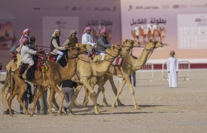 الرياضة في قطر | انطلاق منافسات المجموعة النهائية في بطولة القلايل 2026 غدا | عيون الجزيرة الاخبارية