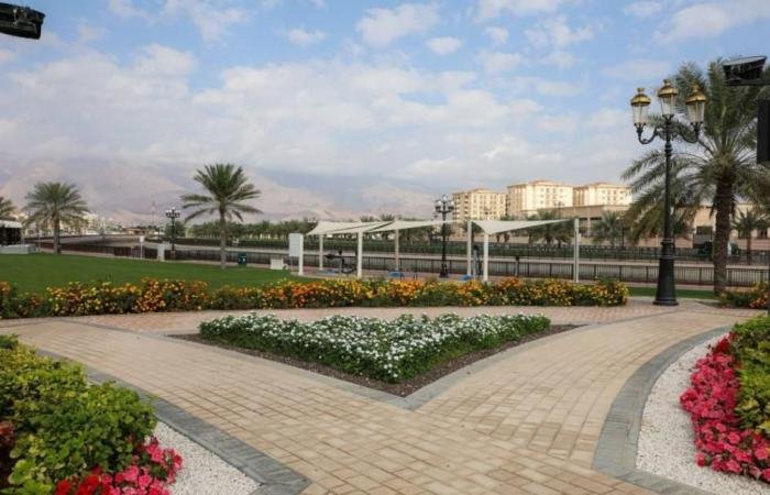 الامارات الان | ربع مليون زهرة تحسن المظهر الجمالي في دبا الحصن | عيون الجزيرة الامارات