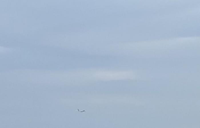 أخبار قطر | الأرصاد الجوية تحذر من رؤية أفقية متدنية متوقعة على الساحل وفي عرض البحر | عيون الجزيرة قطر