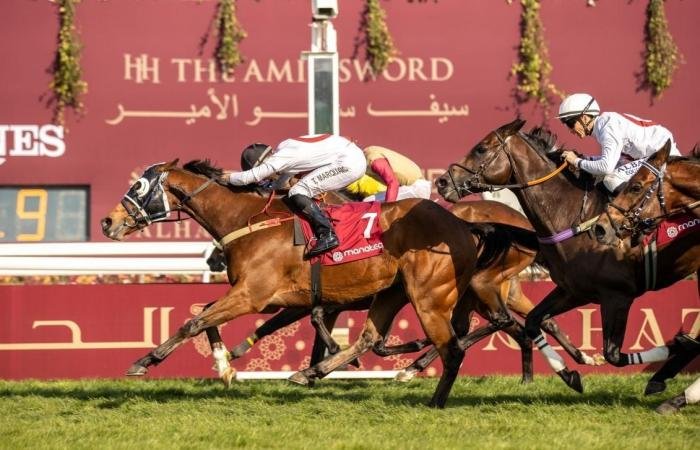 أخبار قطر | غدا.. انطلاق مهرجان سيف الأمير للفروسية وبطولة سيف سمو الأمير لقفز الحواجز | عيون الجزيرة قطر