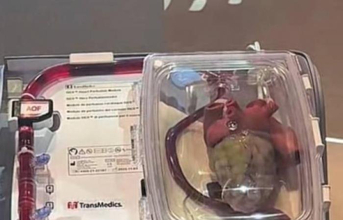 الامارات الان | «حياة».. أسرع برامج التبرّع وزراعة الأعضاء نمواً عالمياً | عيون الجزيرة الامارات