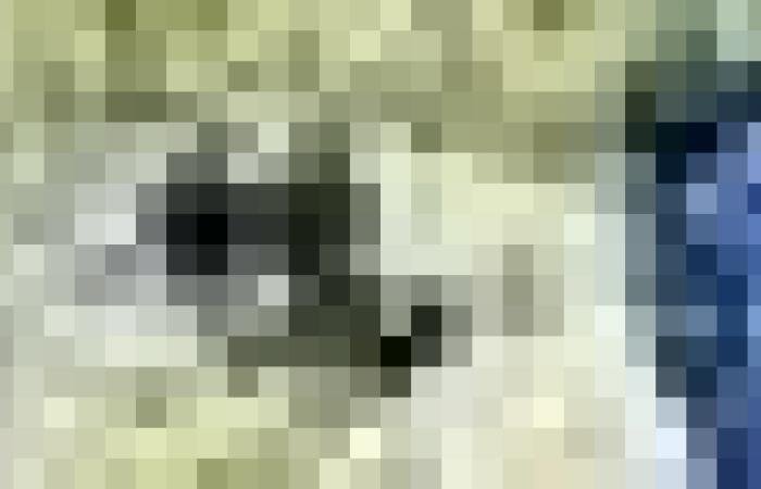 أخبار سلطنة عمان | حريق "رأس الحرق" بولاية الحمراء ينحصر في مساحة محدودة مع تواصل عمليات التبريد | عيون الجزيرة الاخبارية عمان