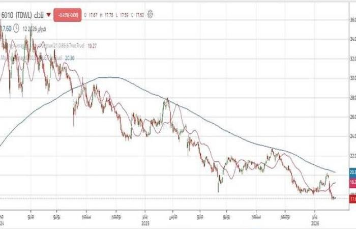 سهم "نادك" يشهد مرحلة تجميع بعد اختراق الدعم الرئيسي