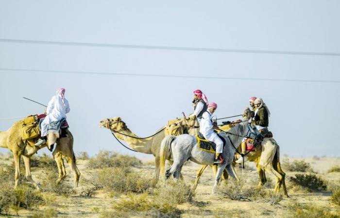 أخبار قطر | العديد يتصدر المنافسات.. وتتويج الفائزين في القلايل اليوم | عيون الجزيرة قطر