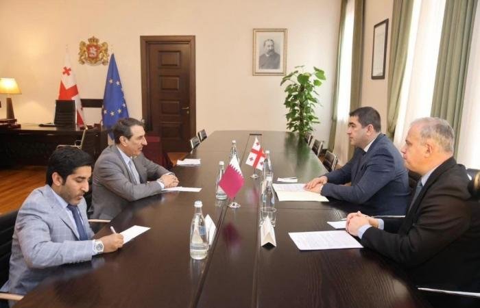 أخبار قطر | رئيس برلمان جورجيا يجتمع مع سفير دولة قطر | عيون الجزيرة قطر