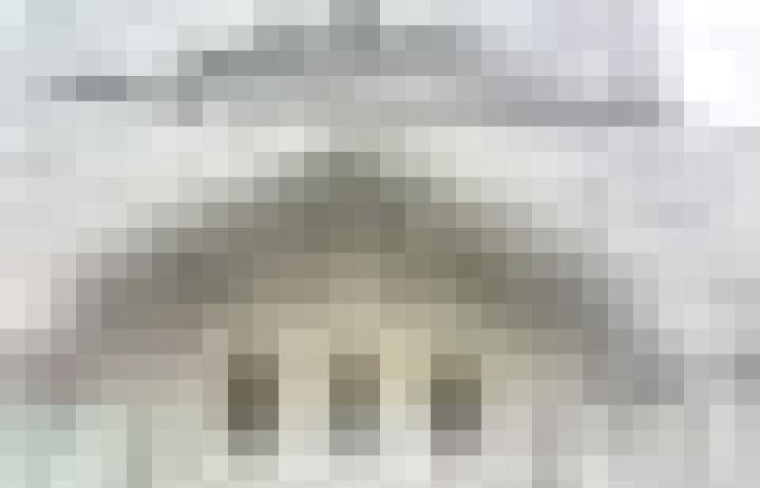 أخبار سلطنة عمان | برنامج توعوي بصلالة لغرس مفاهيم الغذاء الصحي للطلبة | عيون الجزيرة الاخبارية عمان