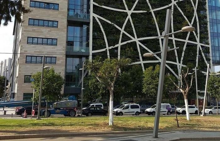 نمو أرباح تشك بوينت الإسرائيلية بدعم الطلب القوي على الأمن السيبراني