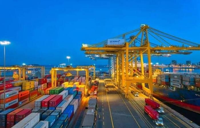 مؤانئ دبي تقيل رئيسها التنفيذي بسبب علاقته مع إبستين