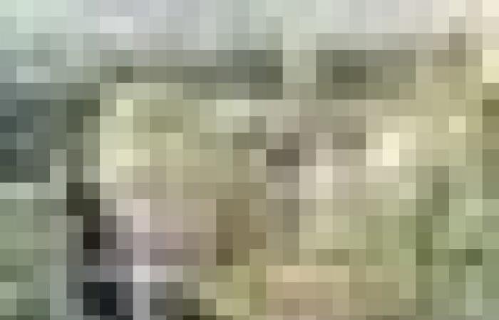 أخبار سلطنة عمان | 150 إمرأة يقطعن 3 كيلومترات بين مزارع العوابي | عيون الجزيرة الاخبارية عمان